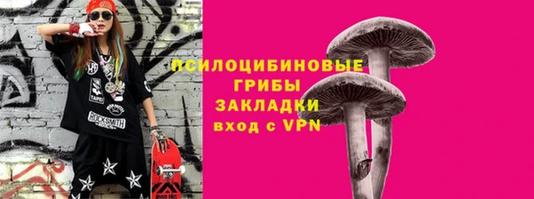a pvp Алзамай