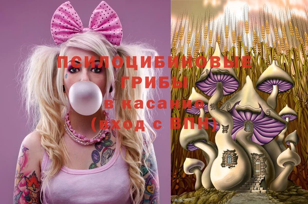 скорость Алексин