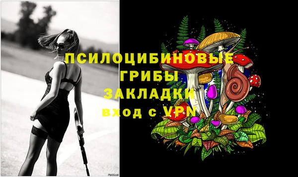 скорость Алексин
