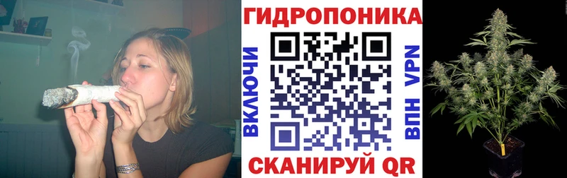 где найти   Железногорск-Илимский  omg tor  Бошки Шишки AK-47 